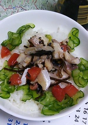 手作りしめ鯖で♪しめ鯖丼♪-レシピのメイン写真