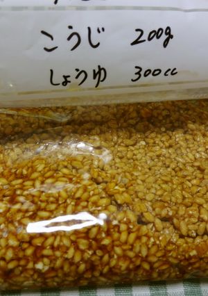 保存袋で作る「しょうゆ麹」-レシピのメイン写真