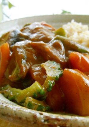 簡単☆夏野菜たっぷりカレー-レシピのメイン写真