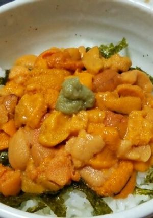乗せるだけ☆うに丼-レシピのメイン写真