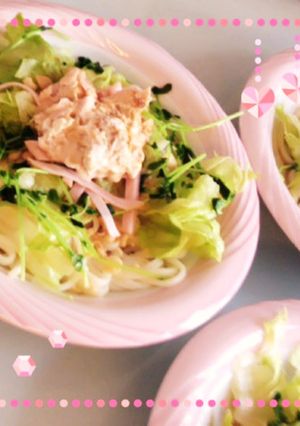 子供も大好き、サラダうどん-レシピのメイン写真