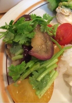 ナスとトマトのマリネ風アジアンサラダ-レシピのメイン写真