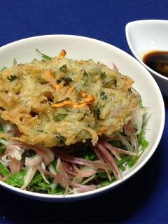 ダブルしらすのかき揚げ丼-レシピのメイン写真