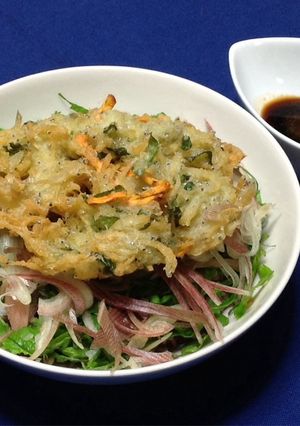 ダブルしらすのかき揚げ丼-レシピのメイン写真