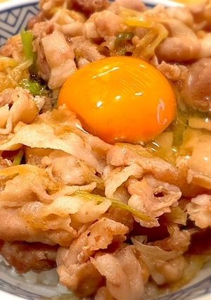 家で作る伝説の味 すた丼 -レシピのメイン写真