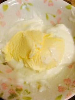 バニラアイスに☆ヨーグルト!これうまい!-レシピのメイン写真