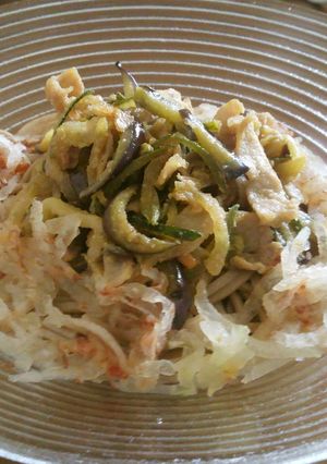 しっかり味の冷蕎麦♪豚肉ナス冬瓜で-レシピのメイン写真