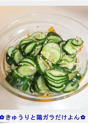 ✿きゅうりと鶏ガラだけよん✿-レシピのメイン写真