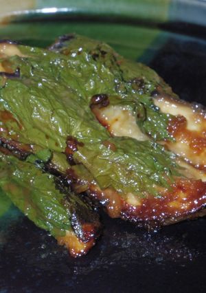 夏野菜もりもり！茄子シソ巻き-レシピのメイン写真