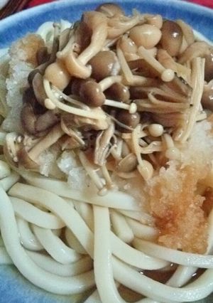 ｷﾉｺたっぷりおろし冷やしうどん-レシピのメイン写真