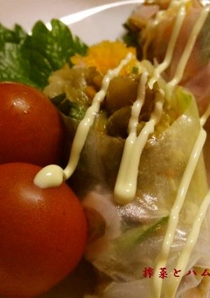 搾菜とハムで生春巻き巻き～！-レシピのメイン写真