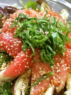 ナスとトマトの中華風サラダ-レシピのメイン写真
