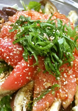 ナスとトマトの中華風サラダ-レシピのメイン写真