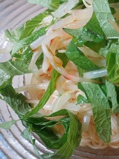タイ風★大葉素麺-レシピのメイン写真