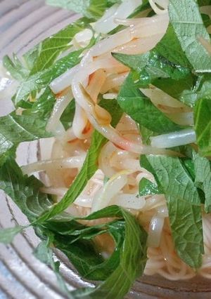 タイ風★大葉素麺-レシピのメイン写真