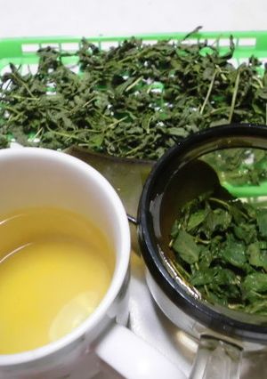 ミントのお茶(ミントティー)-レシピのメイン写真