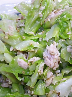 シャキシャキきゃべつ!!ごま油和え♪-レシピのメイン写真