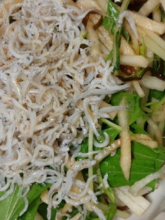 大根と水菜のサラダ-レシピのメイン写真