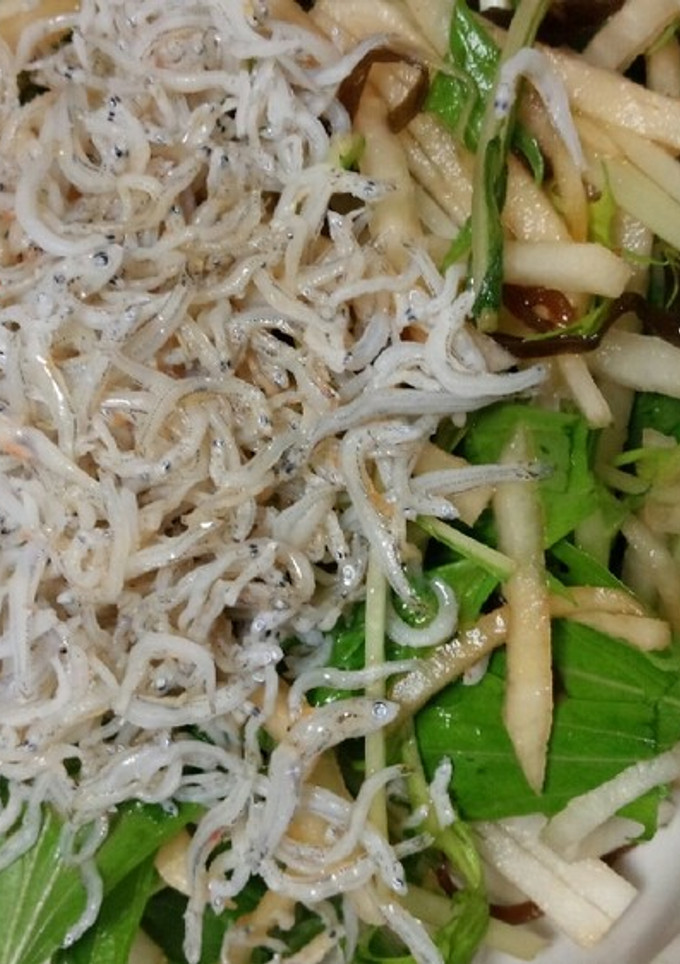 大根と水菜のｻﾗﾀﾞ-レシピのメイン写真