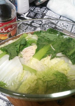 レンジでお手軽湯豆腐-レシピのメイン写真