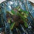 きゅうりと生きくらげの炒め物