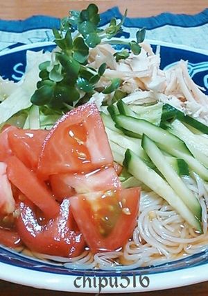 15分夏バテ解消！夏野菜ぶっかけそうめん-レシピのメイン写真