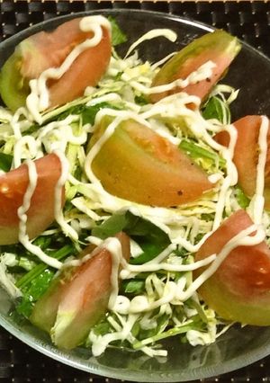 野菜サラダ-レシピのメイン写真