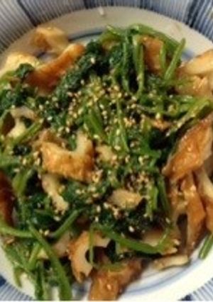ほうれん草の胡麻和え♪-レシピのメイン写真