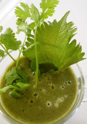 夏野菜のグリーンスムージー-レシピのメイン写真