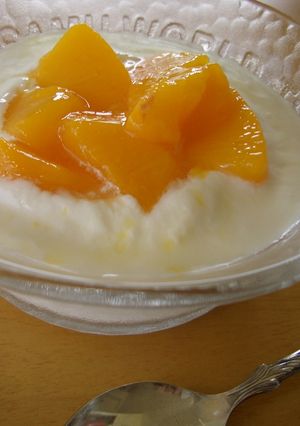 生クリームｉｎヨーグルトアイス-レシピのメイン写真