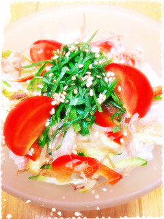 青ナスでサッパリ☆簡単夏野菜サラダ-レシピのメイン写真