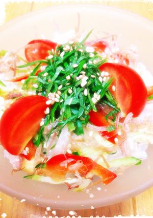 青ナスでサッパリ☆簡単夏野菜サラダ-レシピのメイン写真