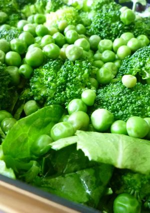 緑サラダ　～簡単ドレッシングで旬の野菜を-レシピのメイン写真