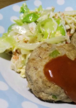 おからハンバーグ✲-レシピのメイン写真