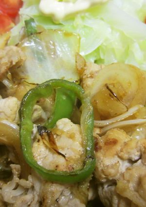 夏バテ解消☆簡単豚肉の生姜焼き-レシピのメイン写真