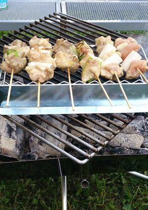 キャンプの炭火で焼き鳥＆つくね-レシピのメイン写真