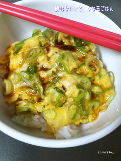 鰻はないけど、うな玉ごはん-レシピのメイン写真
