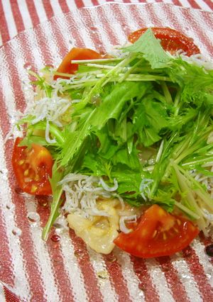 鯛のカルパッチョ風そうめん-レシピのメイン写真