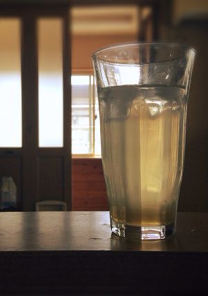 梅ジュースにちょい足し！うめれもん♪-レシピのメイン写真