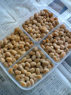 納豆を作ってみよう!w-レシピのメイン写真