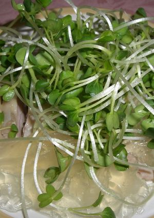 夏のお酒のアテにぴったり!鶏の酒蒸し-レシピのメイン写真