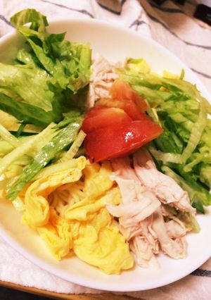 何でも乗っけ冷やし中華-レシピのメイン写真