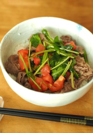 夏にさっぱり！イタリアンな牛丼-レシピのメイン写真