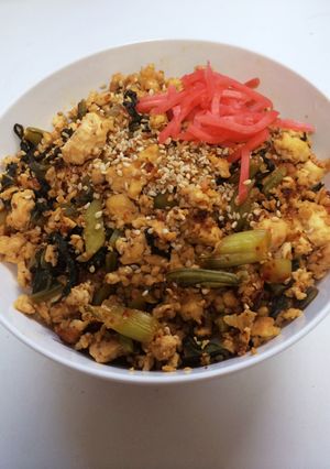 絶品炒飯!基本の野沢菜ヘルシー炒り豆腐-レシピのメイン写真