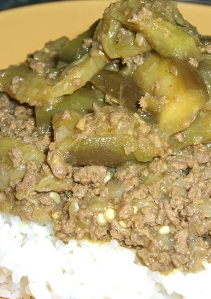 とろける茄子のドライカレー-レシピのメイン写真