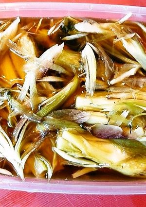 焼き茄子＆焼きミョウガde浸し～♪-レシピのメイン写真