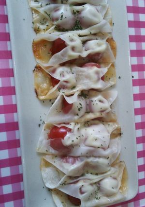 トマト餃子-レシピのメイン写真