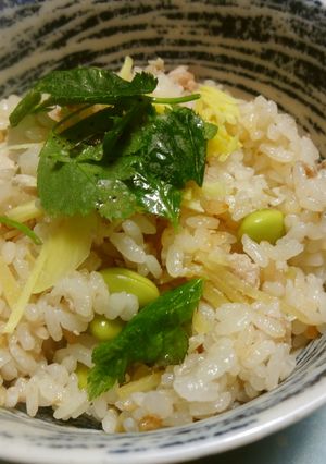 生姜ご飯☆肉入り～♡-レシピのメイン写真