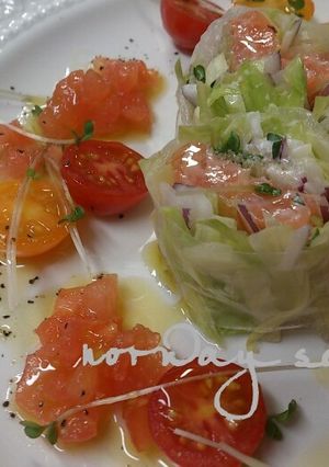 サーモン生春巻き～トマトサラダ仕立て～-レシピのメイン写真