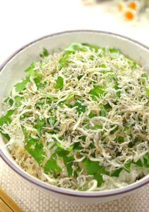 美しくな～れ▶笑▶超簡単ちりめんじゃこ丼-レシピのメイン写真